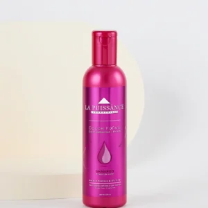 Shampoo Fixing 300ml La Puissance